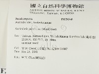 毛木耳藏品圖，第2張