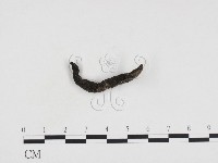 登錄號:F0024347藏品圖，第1張