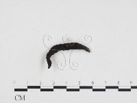 登錄號:F0024347藏品圖，第3張