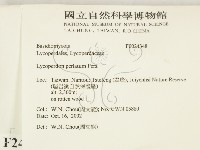 登錄號:F0024348藏品圖，第2張