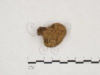 登錄號:F0024348藏品圖，第3張
