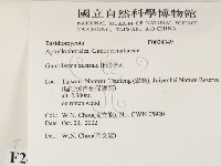 登錄號:F0024349藏品圖，第2張