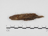 登錄號:F0024351藏品圖，第1張