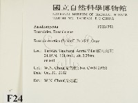 登錄號:F0024352藏品圖，第2張