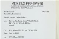 登錄號:F0024352藏品圖，第4張