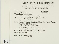 登錄號:F0024353藏品圖，第2張