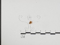 登錄號:F0024354藏品圖，第3張