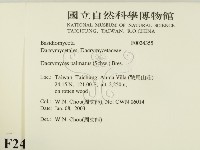登錄號:F0024355藏品圖，第2張
