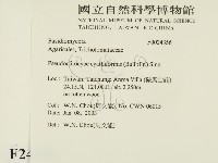 登錄號:F0024356藏品圖，第2張