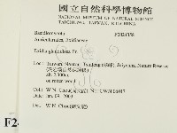 登錄號:F0024358藏品圖，第2張