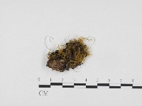 登錄號:F0024358藏品圖，第1張
