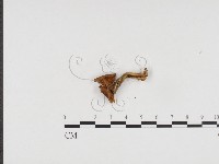 登錄號:F0024359藏品圖，第3張