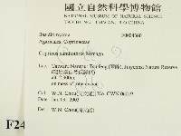登錄號:F0024360藏品圖，第2張