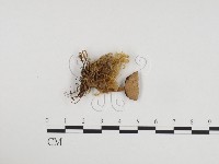 登錄號:F0024360藏品圖，第1張