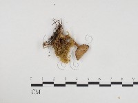 登錄號:F0024360藏品圖，第3張