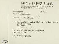 登錄號:F0024361藏品圖，第2張