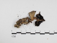 登錄號:F0024361藏品圖，第3張