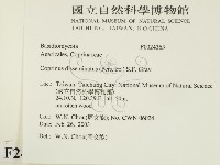 登錄號:F0024363藏品圖，第2張