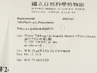 登錄號:F0024365藏品圖，第2張