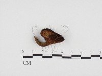 登錄號:F0024365藏品圖，第1張