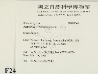 小皮傘屬藏品圖，第2張