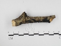登錄號:F0024368藏品圖，第1張