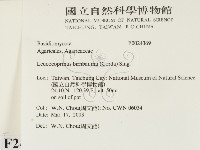 登錄號:F0024369藏品圖，第2張