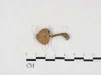 登錄號:F0024369藏品圖，第1張