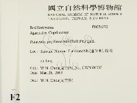 登錄號:F0024370藏品圖，第2張