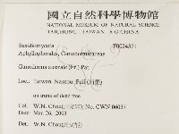 登錄號:F0024371藏品圖，第2張