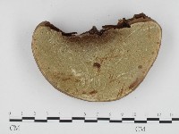 登錄號:F0024371藏品圖，第3張