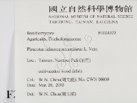 登錄號:F0024372藏品圖，第2張