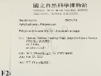 館號:F0024374藏品圖，第2張