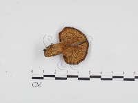 館號:F0024374藏品圖，第1張
