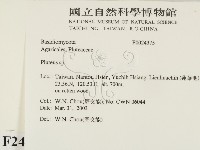 登錄號:F0024375藏品圖，第2張