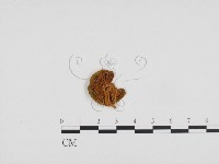 登錄號:F0024375藏品圖，第1張
