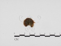 登錄號:F0024375藏品圖，第3張