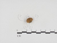 登錄號:F0024379藏品圖，第3張