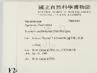 登錄號:F0024382藏品圖，第2張