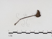 登錄號:F0024382藏品圖，第1張