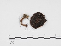 登錄號:F0024383藏品圖，第1張