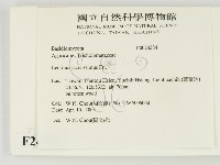 登錄號:F0024384藏品圖，第2張