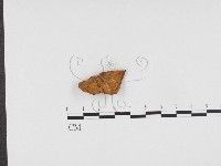 登錄號:F0024384藏品圖，第1張