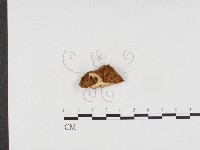 登錄號:F0024384藏品圖，第3張
