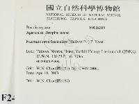 登錄號:F0024385藏品圖，第2張