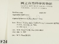 登錄號:F0024387藏品圖，第2張