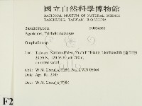 登錄號:F0024388藏品圖，第2張