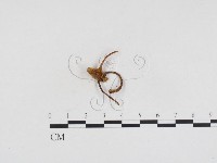 登錄號:F0024388藏品圖，第3張