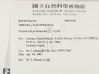 登錄號:F0024389藏品圖，第2張