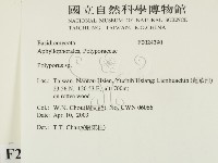 多孔菌屬藏品圖，第2張